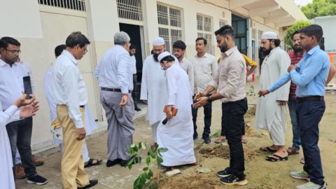 Tree Plantation Drives