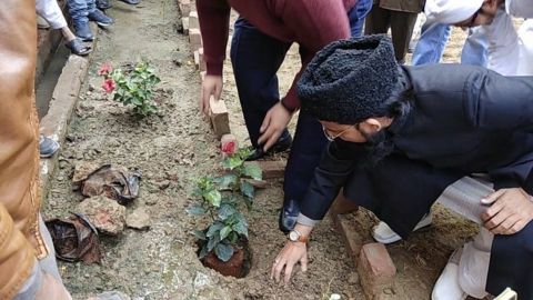 Tree Plantation Drives