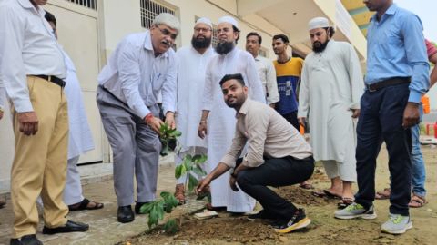 Tree Plantation Drives